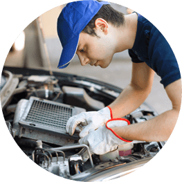 Customer survey: Motor Vehicle Services