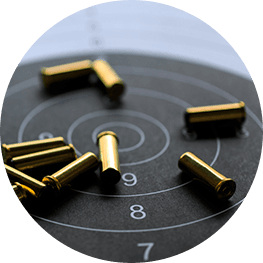 Customer survey: Private Arms Dealers