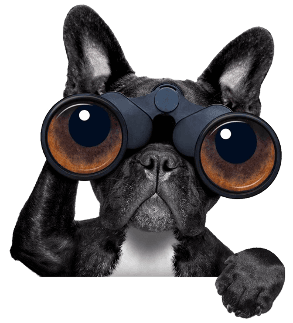 Die von Ihnen gesuchte Seite existiert nicht.